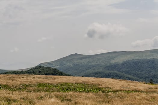 Road from Widelki to Tarnica through Bukowe Berdo in the Bieszczady Mountains in Poland