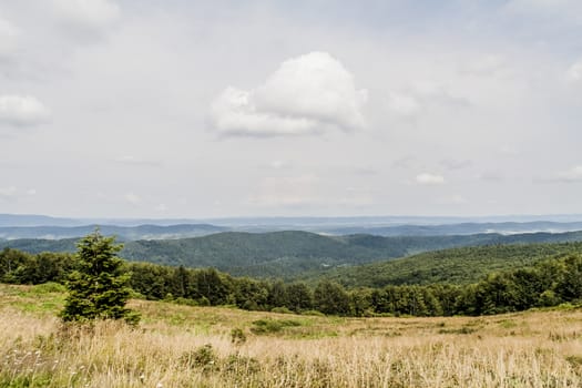 Road from Widelki to Tarnica through Bukowe Berdo in the Bieszczady Mountains in Poland