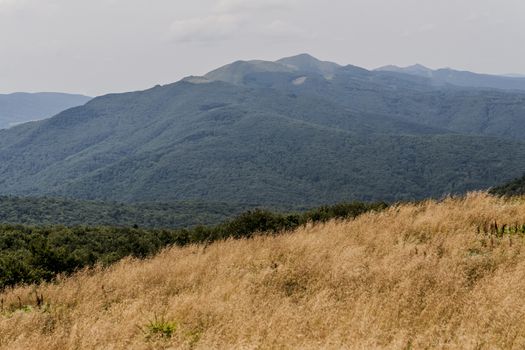 Road from Widelki to Tarnica through Bukowe Berdo in the Bieszczady Mountains in Poland