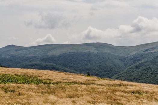 Road from Widelki to Tarnica through Bukowe Berdo in the Bieszczady Mountains in Poland