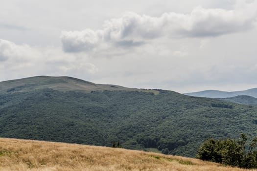 Road from Widelki to Tarnica through Bukowe Berdo in the Bieszczady Mountains in Poland