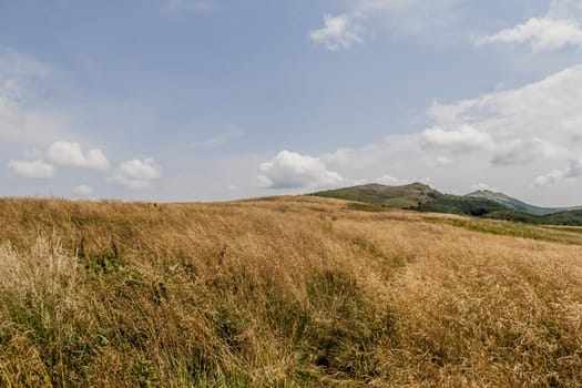 Road from Widelki to Tarnica through Bukowe Berdo in the Bieszczady Mountains in Poland