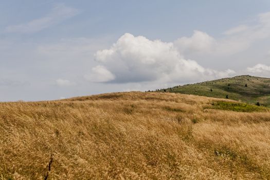 Road from Widelki to Tarnica through Bukowe Berdo in the Bieszczady Mountains in Poland