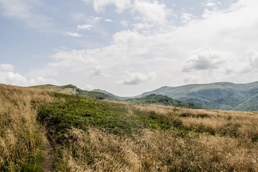 Road from Widelki to Tarnica through Bukowe Berdo in the Bieszczady Mountains in Poland