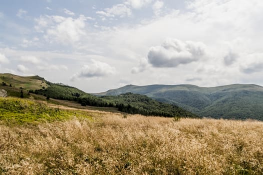 Road from Widelki to Tarnica through Bukowe Berdo in the Bieszczady Mountains in Poland