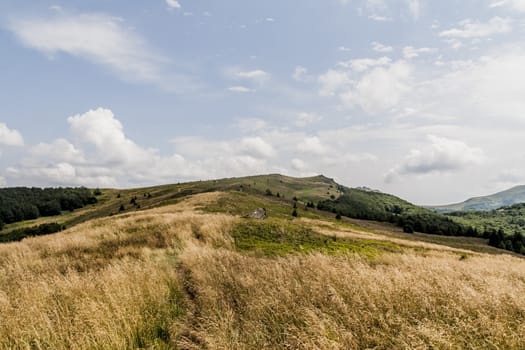 Road from Widelki to Tarnica through Bukowe Berdo in the Bieszczady Mountains in Poland