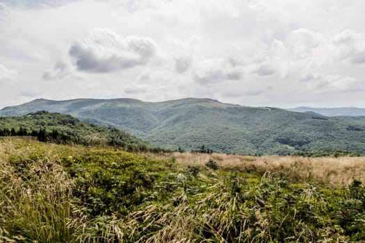 Road from Widelki to Tarnica through Bukowe Berdo in the Bieszczady Mountains in Poland