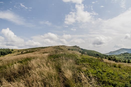 Road from Widelki to Tarnica through Bukowe Berdo in the Bieszczady Mountains in Poland