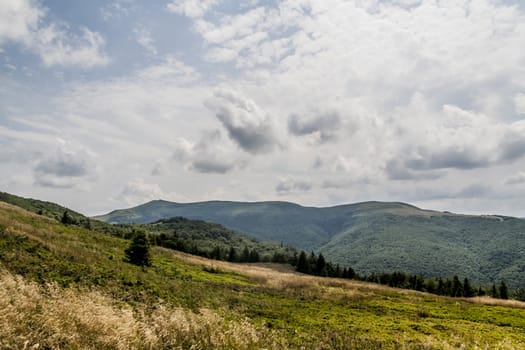 Road from Widelki to Tarnica through Bukowe Berdo in the Bieszczady Mountains in Poland