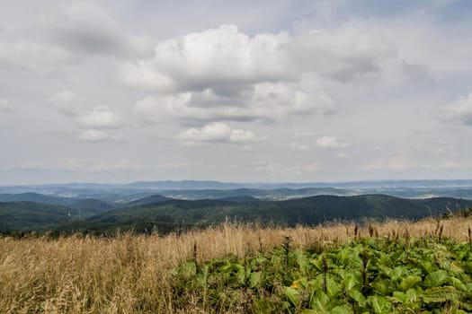 Road from Widelki to Tarnica through Bukowe Berdo in the Bieszczady Mountains in Poland