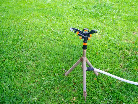 Watering plants and lawns in the garden is the selective focus of Springer.