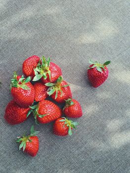 Organic strawberries on rustic linen background, fruit farming and agriculture