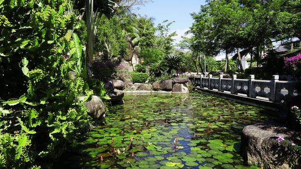 Tropical landscape design on backyard. View of small pond, bushes and green palms