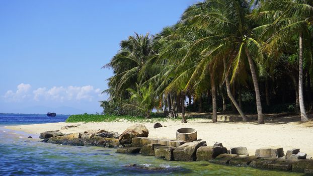 Palm trees and the sea. Summer day. Abandoned deserted beach with stones.