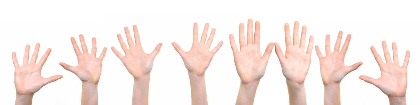 Group of caucasian white children is showing their hands with open palms on a white background in close-up