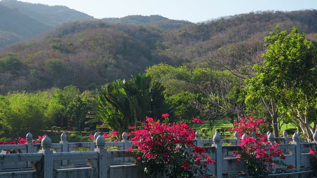 Viewing platform at mountaintop, in chongqing nanshan. Tropical garden in China