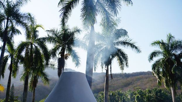 Smoke from the hut among the palm trees - summer