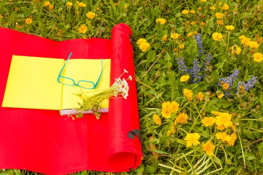 a flowered garden of yellow and blue wild flowers dandelion