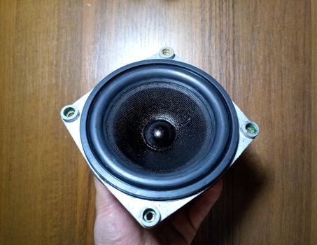 Medium-frequency speakers 20gds-3. Soviet vintage acoustics, elements of a music column.