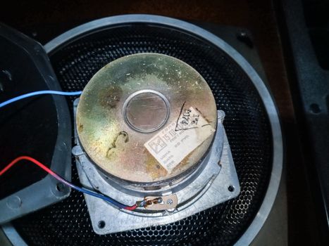 Medium-frequency speakers 20gds-3. Soviet vintage acoustics, elements of a music column.