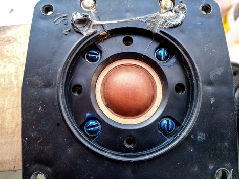 Speaker repair, disassembled speaker. High-frequency speaker 10gdv-2-16 on a white background. A component of a three-way speaker system.