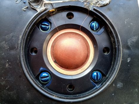 Speaker repair, disassembled speaker. High-frequency speaker 10gdv-2-16 on a white background. A component of a three-way speaker system.