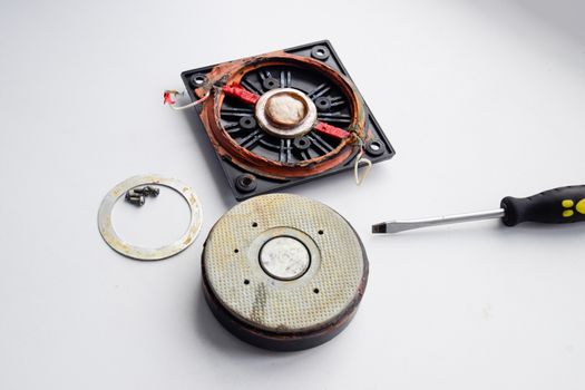 Speaker repair, disassembled speaker. High-frequency speaker 6GDV-7-16 on a white background. A component of a three-way speaker system.