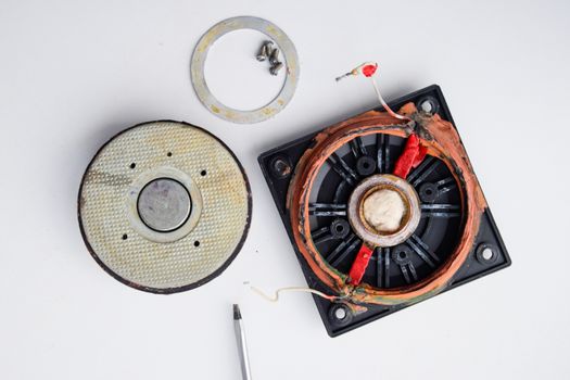 Speaker repair, disassembled speaker. High-frequency speaker 6GDV-7-16 on a white background. A component of a three-way speaker system.