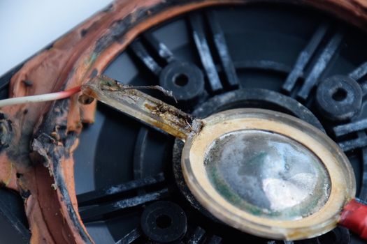 Speaker repair, disassembled speaker. High-frequency speaker 6GDV-7-16 on a white background. A component of a three-way speaker system.