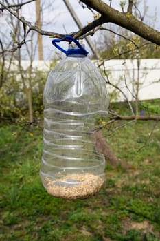 A bird feeder in the garden. A plastic bottle feeder.