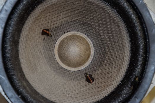 Medium-frequency speakers 20gds-3. Soviet vintage acoustics, elements of a music column.