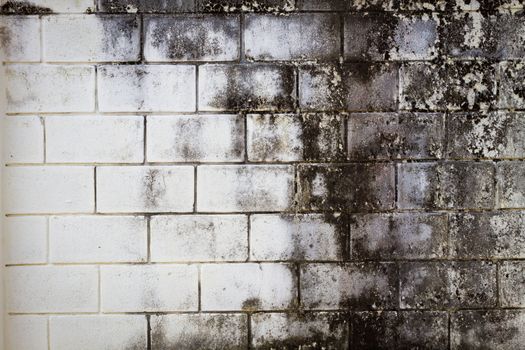 Surface brick grungy wall with cream tones for use as background, copyspace.