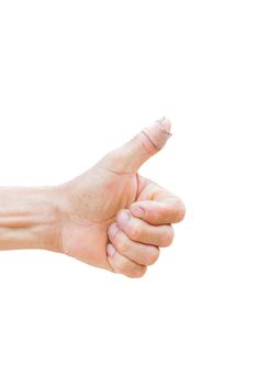 horizontal photo of closeup of farmer's hand showing thumbs up with bandage isolated on white background
, clipping path