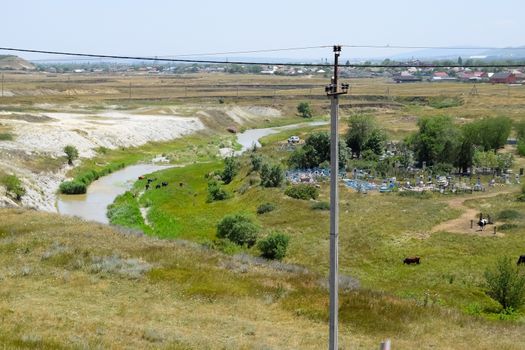 A small river is a watering hole for livestock and cows.
