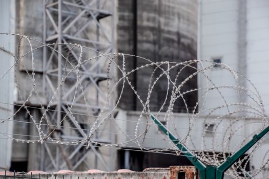 Swirls of barbed wire over the fence. The fence symbolizes prison, non-freedom, totalitarianism and prohibitions.