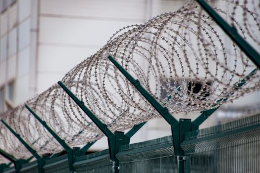 Swirls of barbed wire over the fence. The fence symbolizes prison, non-freedom, totalitarianism and prohibitions.