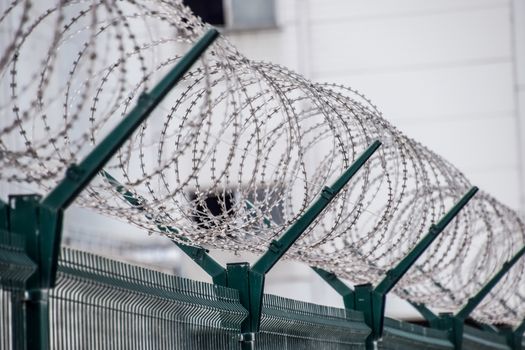 Swirls of barbed wire over the fence. The fence symbolizes prison, non-freedom, totalitarianism and prohibitions.
