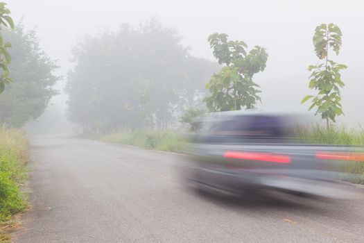 Motion blur of car on road on foggy morning along green tree lined road in the morning, Thailand.
