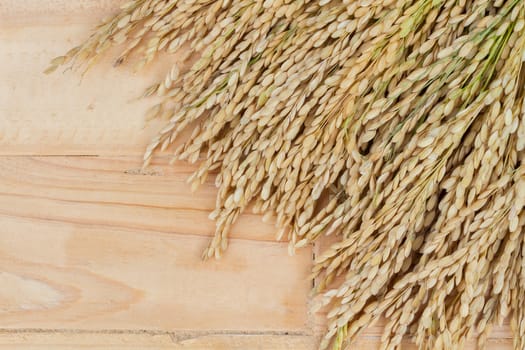 grains, ear of rice on the wooden background, copyspace for text