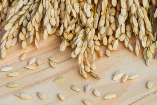 grains, ear of rice on the wooden background