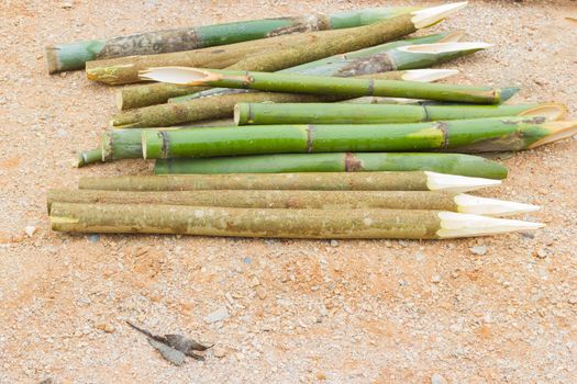 sharpened bamboo sticks on the ground used for stabbing dracular, copyspace