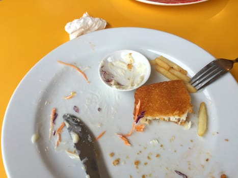 horizontal photo of closeup fried fish remains after finish eating with used screwed paper tissue