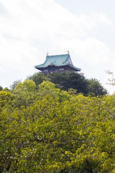 tourists visit Osaka castle with tree on white cloudy sky. Vertical photo.