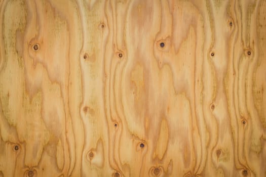 Real Natural Wood Texture wood background texture used for decoration