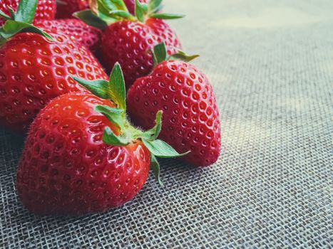 Organic strawberries on rustic linen background, fruit farming and agriculture