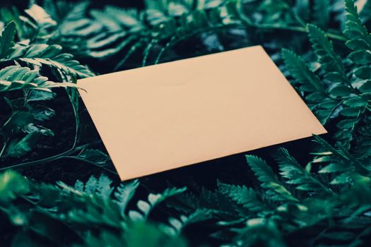 Blank envelope and green leaves in nature, paper card as background, correspondence and newsletter concept