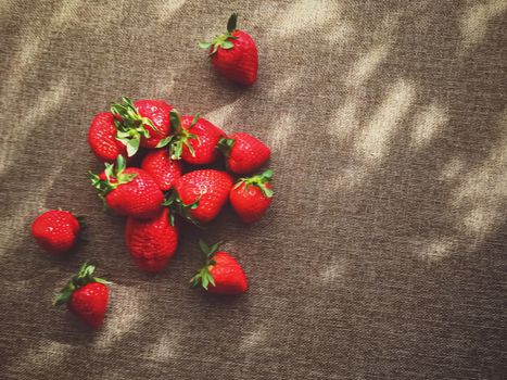 Organic strawberries on rustic linen background, fruit farming and agriculture