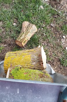 Sawed wood in a trolley. Carrying firewood.