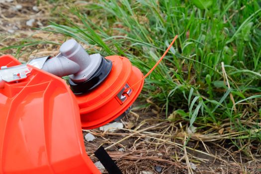 Head with fishing line for mowing grass. Gas trimmer. Trimer gascosis with a leaf for mowing grass and shrubs.