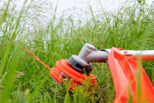 Trimer gascosis with a leaf for mowing grass and shrubs.